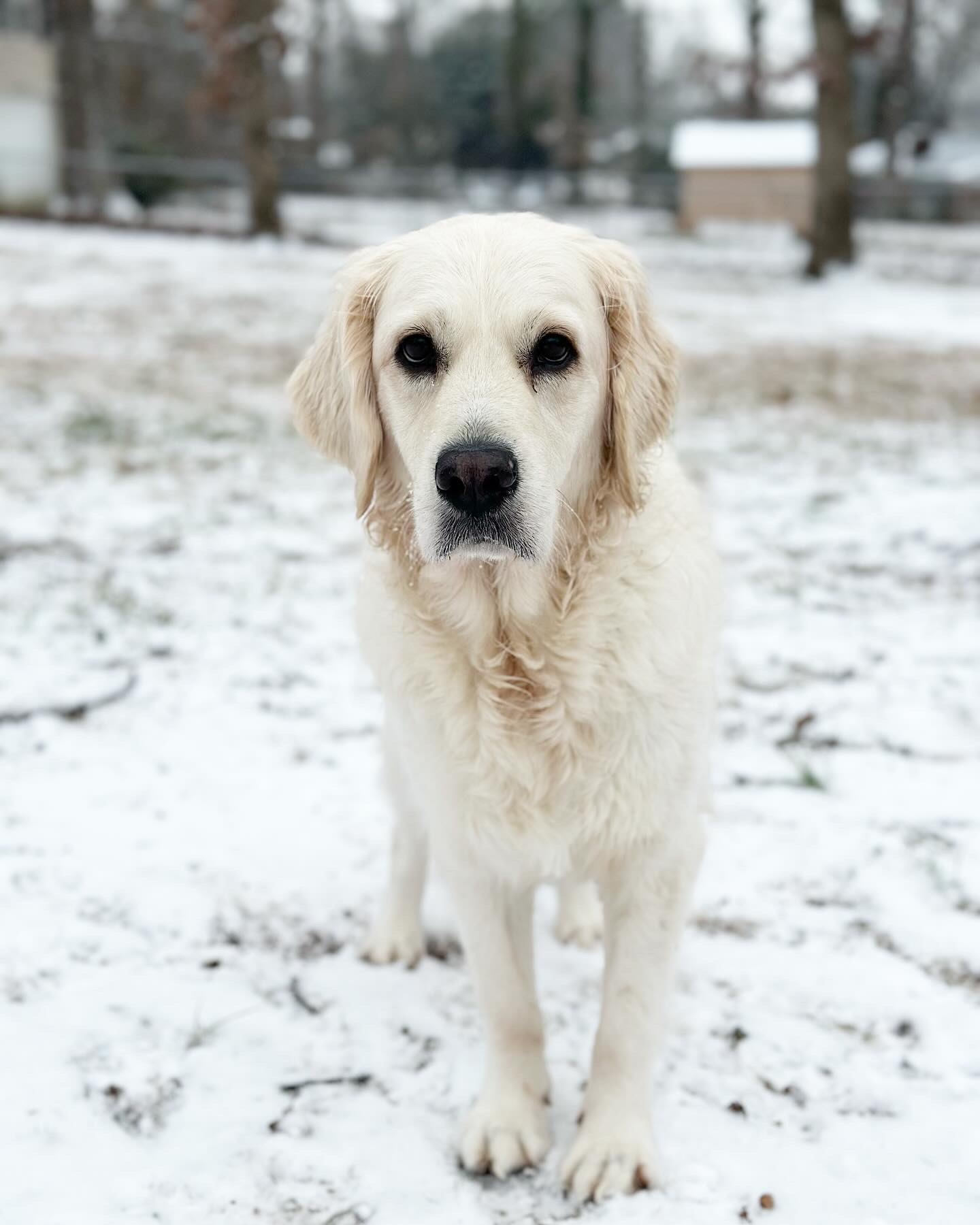 70F350E3-E18E-4141-89DE-D66583B57D49