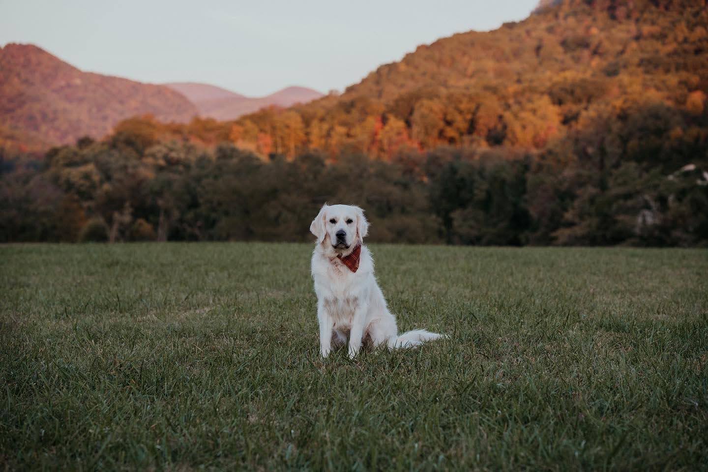 75723CBD-102B-46C8-BD6A-55CB36620A88